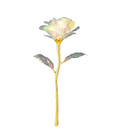 Rosa Imortal - Rosa de Cristal