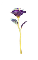 Rosa Imortal - Rosa de Cristal