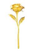 Rosa Imortal - Rosa de Cristal