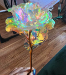 Rosa Imortal - Rosa de Cristal