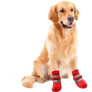 Pet Socks - Meia Protetora de Patinhas Impermeável